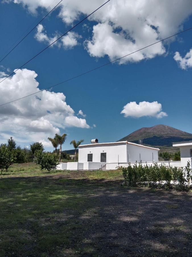 Vesuvio Casa De Charme Bed & Breakfast Trecase Exterior photo